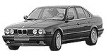 BMW E34 P0384 Fault Code